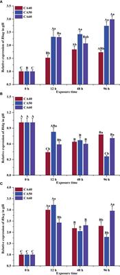 Effects of carbonate alkalinity on branchial gene expression in the large-scale loach (Paramisgurnus dabryanus)